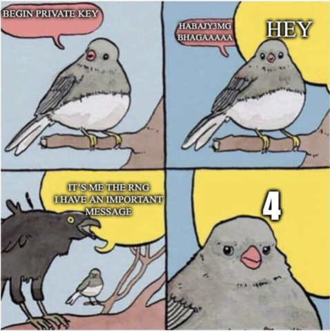 A four panel comic. A bird sits on a branch. It says “BEGIN PRIVATE KEY”

Then it starts saying some Base64 encoded stuff while off panel someone says HEY. 

The other person is revealed to be a big bird who yells ITS ME THE RNG I HAVE AN IMPORTANT MESSAGE

The message is 4. The first bird looks annoyed.